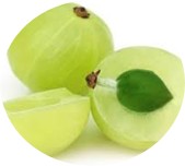 Dhatri (Amla)(Emblicaofficinalis):