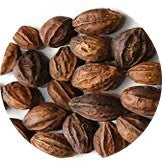Pathya (Haritaki)(Terminalia chebula):