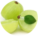 Madhuyashti (Glycyrrhiza glabra) 25 mg