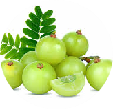Amalaki (Emblica officinalis) 25 mg
