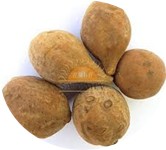 Vibhitaki(Terminalia bellerica):