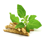 Ashwagandha (175 mg)