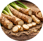 Vacha (Acorus calamus) 10 mg