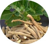 Ashvagandha (Withania somnifera) [200 mg]: