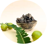 Darusita Taila (Cinnamomum zeylanicum) 0.005 ml