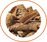 Nimba (Azadirachta indica)  3%
