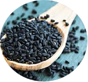 Sthulajeerakam (Nigella sativa) 1%