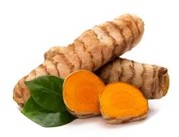 Haridra (Curcuma longa) [75 mg]: