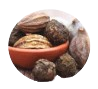 Triphala [125 mg]