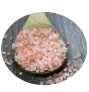 Sauvarchala Lavana (Black Salt) [25 mg]