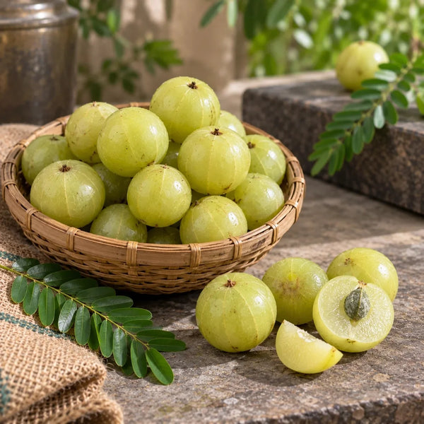 Amalaki