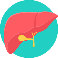 Liver Care
