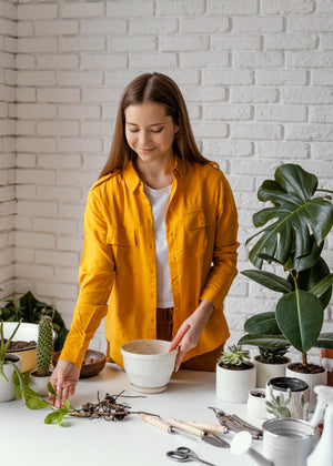 Dr. Jasmeet Kaur Lamba