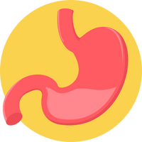 Gut Health